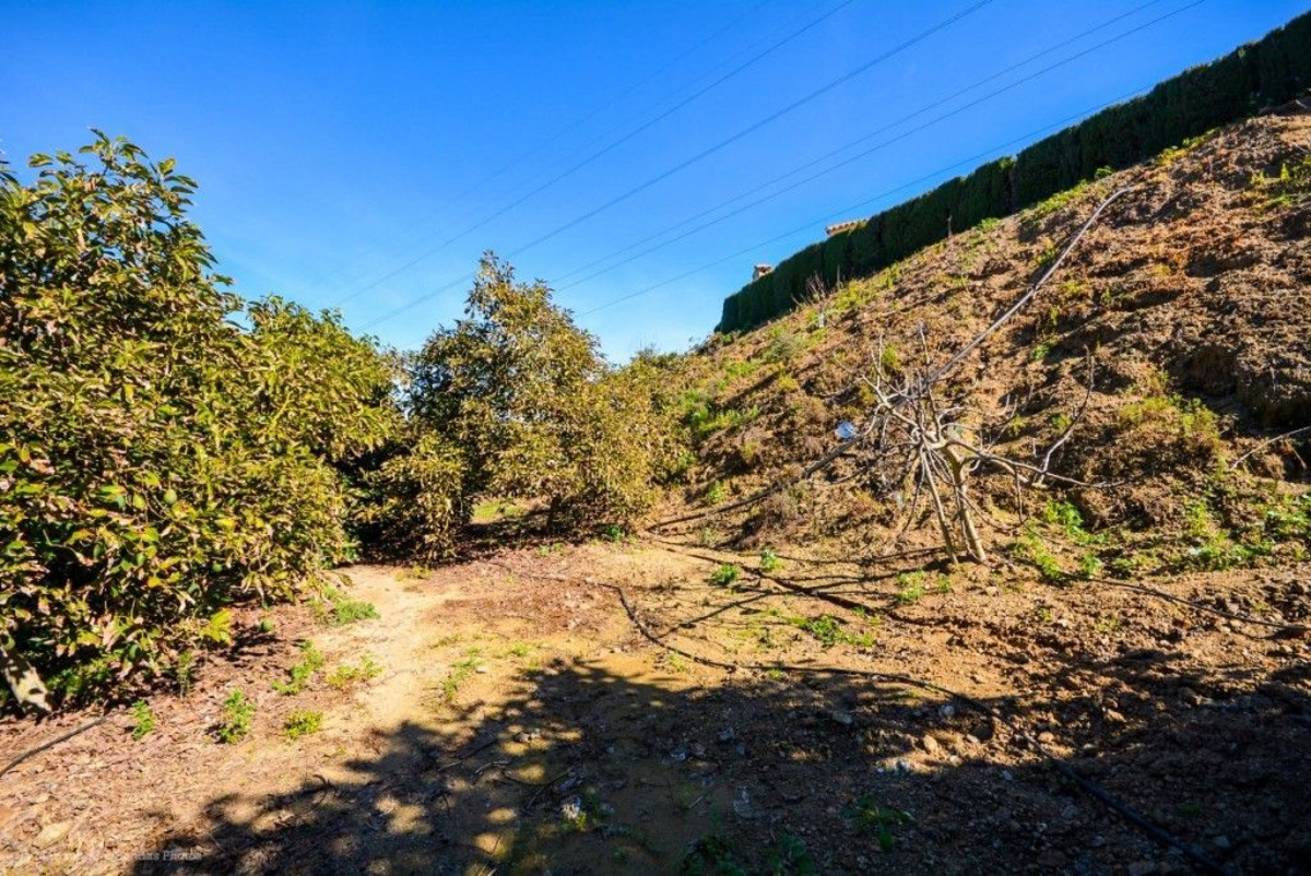 Finca Cortijo in Alhaurín de la Torre Alhaurín de la Torre